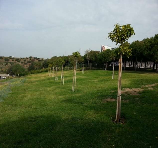 image-050 Landscaping Architecture/Gardening