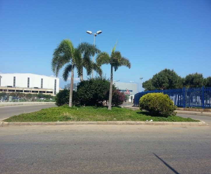 Landscaping Architecture/Gardening 2