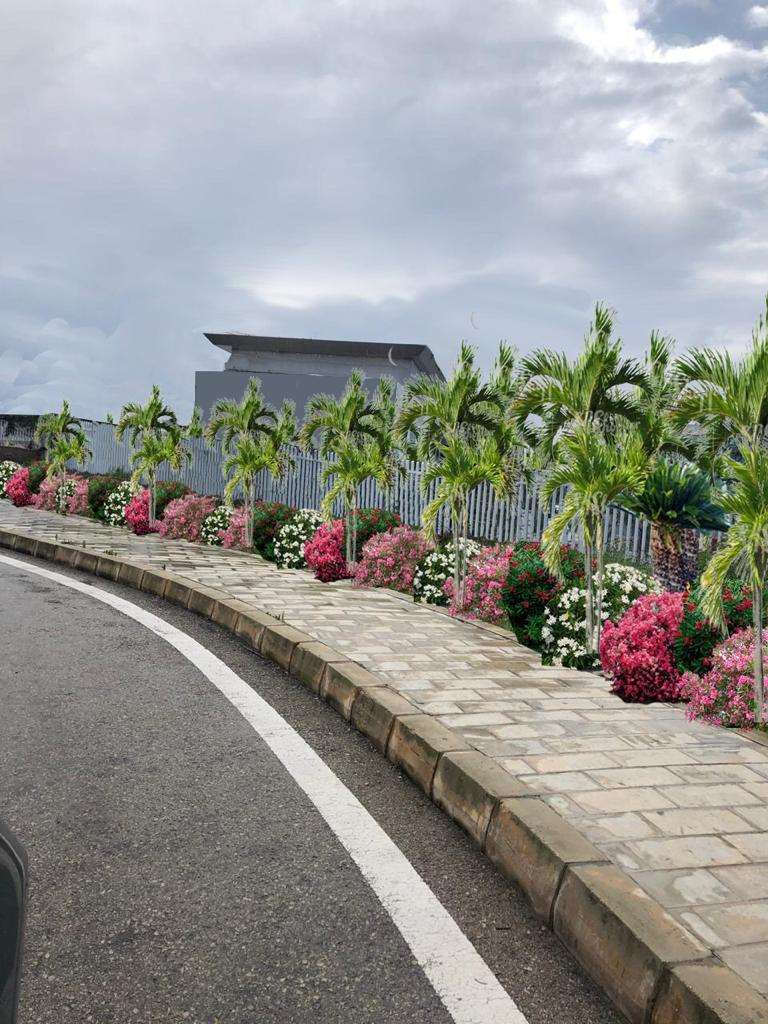 Landscaping Architecture/Gardening 3